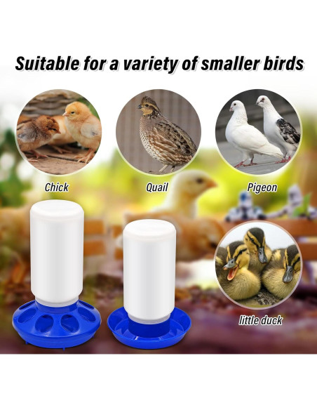 Kit de Alimentador y Bebedero Automático Oujimai para Pollos 1L