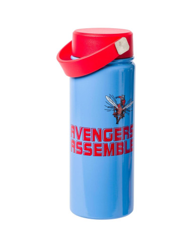 Botella de Agua Acero Inoxidable Silver Buffalo Avengers 600ml