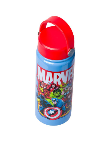 Botella de Agua Acero Inoxidable Silver Buffalo Avengers 600ml