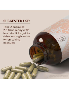 Raíz de Ortiga Punzante Orgánica Garden Organics 120 Cápsulas 2