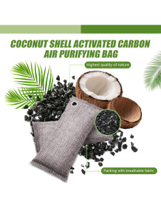 Bolsas de Carbón Activado HANYAN 100g x 10pc - Purificador de Aire 2