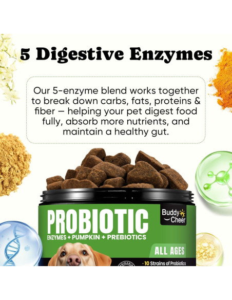 Probioticos para Perros BuddyCheer 180 Masticables Salud Intestinal