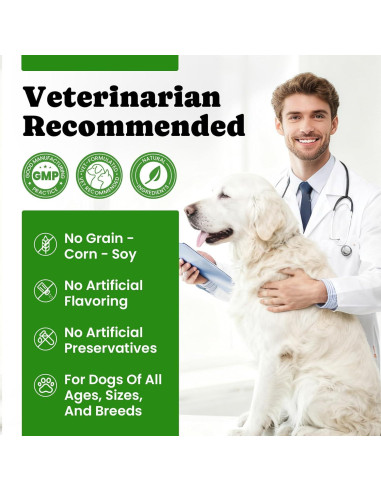 Probioticos para Perros BuddyCheer 180 Masticables Salud Intestinal