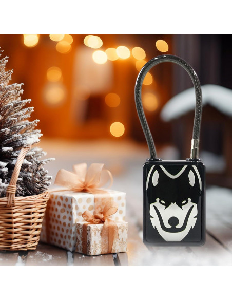 Candado Biométrico de Huella Dactilar LEELEN LL-SG100-B Negro