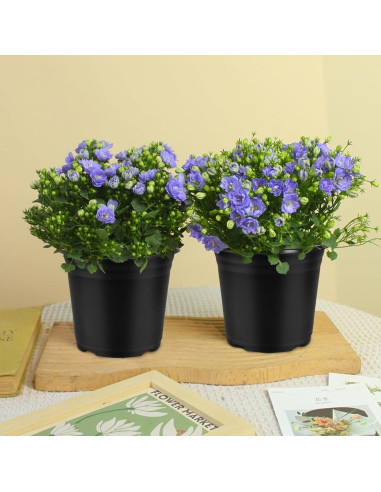 Paquete de 100 Macetas de Plástico Huvai 0.5 Galones Negro