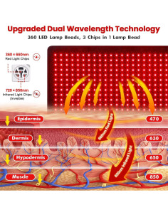 Cinturón de Terapia de Luz Roja GarveeHome 80x30cm 360 LEDs 2