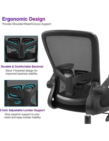 Silla de Oficina Ergonómica ANACCI ZLHECTO Ajustable 136kg