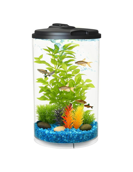 Acuario Koller Products 11.4L con LED y filtro interno AP360A-3FFP