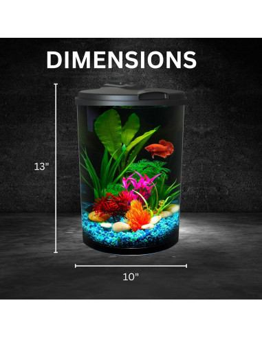 Acuario Koller Products 11.4L con LED y filtro interno AP360A-3FFP