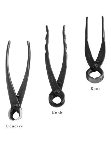 Set de 5 Herramientas para Bonsái Wazakura - Hecho en Japón