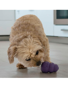 KONG Senior Juguete para Perros Mayores Rellenable 7,62 cm 2