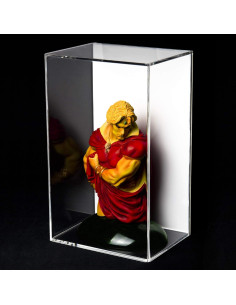 Caja de exhibición acrílica Better Display 20x15x33 cm montaje pared 2