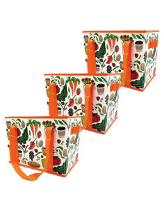 Juego de 3 Bolsas de Compras Reutilizables Deluxe Earthwise