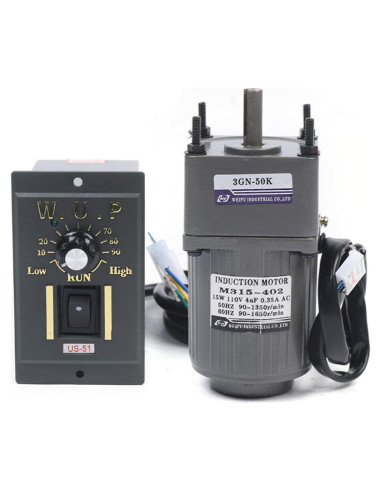 Motor Reductor Gdrasuya10 15W 110V 27RPM Ajustable