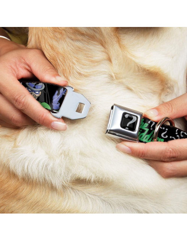 Collar de perro Buckle-Down Batman Mediano 3.81 cm Ancho