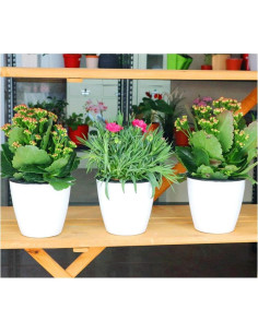 Maceta Autorriego OYSIR Blanca 3.5" para Plantas - 3 Piezas 2