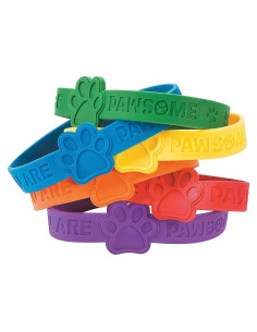 Pulseras de goma con huellas de patas Fun Express - 48 unidades