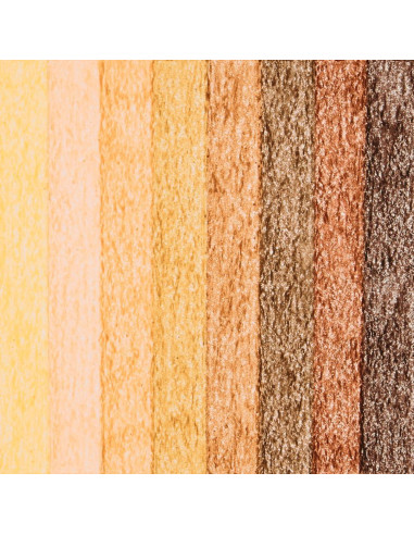 Crayones Coloraciones 24 Paquetes 8 Tonos de Piel