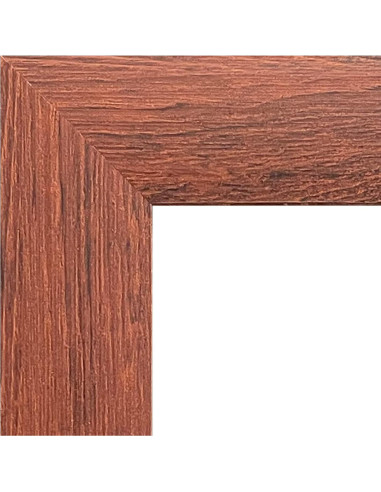 Póster enmarcado Trends International Paw Patrol 56.7x37.4cm