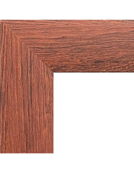 Póster enmarcado Trends International Paw Patrol 56.7x37.4cm