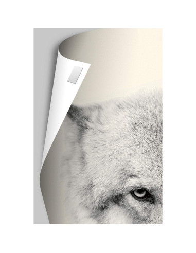 Póster de Pared Trends International Paw Patrol 56.9x37.3cm