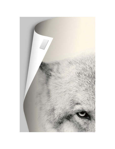 Póster de Pared Trends International Paw Patrol 56.9x37.3cm