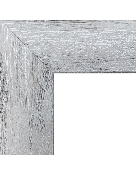 Póster enmarcado Nickelodeon Paw Patrol 57x37 cm gris