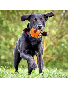 Juguete para mascotas NBA Miami Heat con cuerdas y squeaker 2