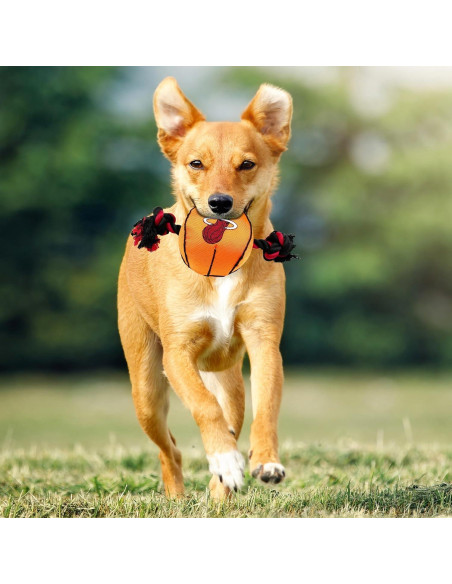 Juguete para mascotas NBA Miami Heat con cuerdas y squeaker