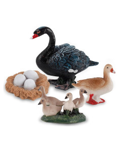 Ciclo de Vida de Cisne LC JoyCre 4 Figuras Educativas