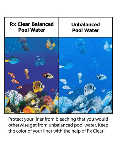 Tabletas de Cloro Rx Clear 9,07 kg para Piscinas | Larga Duración