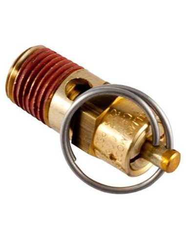 Válvula de Seguridad DeWalt N022549 - Paquete de 2