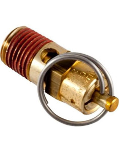 Válvula de Seguridad DeWalt N022549 - Paquete de 2 2