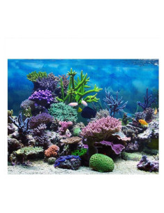 Póster de Acuario HEEPDD 61x41 cm PVC Autoadhesivo Colorido