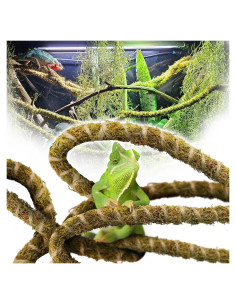 Vid de Reptil Flexible Duspro 3m con Musgo Natural para Terrario