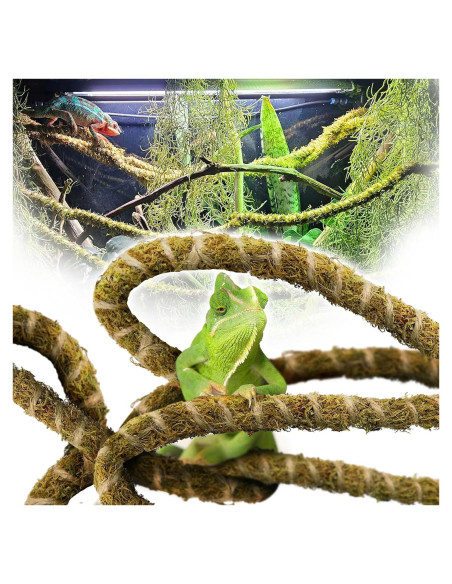 Vid de Reptil Flexible Duspro 3m con Musgo Natural para Terrario Vid de Reptil Flexible Duspro 3m con Musgo Natural para Terrario