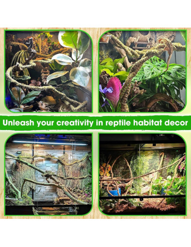 Vid de Reptil Flexible Duspro 3m con Musgo Natural para Terrario