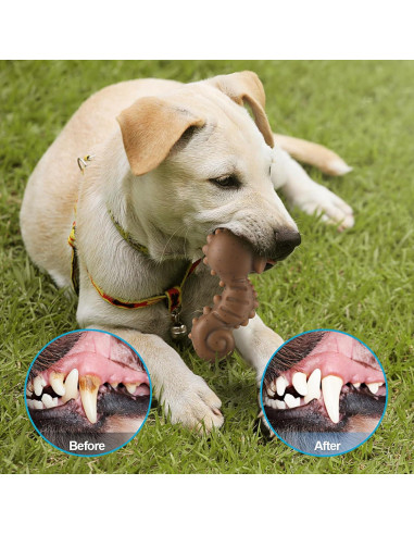 Juguetes para perros PETSTA indestructibles - Pack de 4