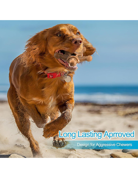 Juguetes para perros PETSTA indestructibles - Pack de 4