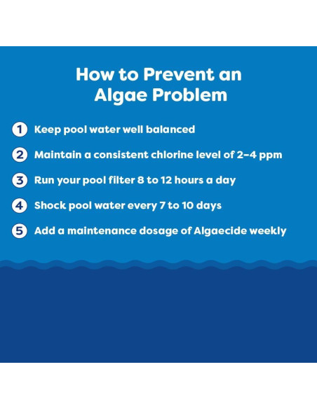 Kit de Apertura de Piscina In The Swim 5 Libras Cloro 3"