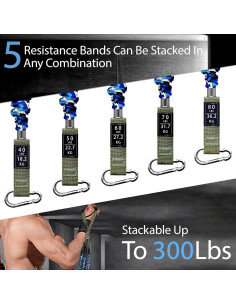 Bandas de Resistencia YLUERTDOO 300Lbs con Mangos y Anclaje 2