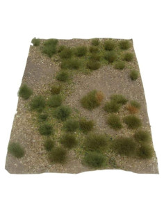 Detalles de Paisajismo JTT 5x7 pulgadas Pradera Silvestre