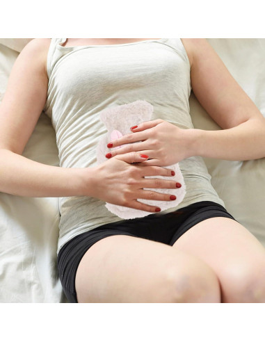 Botella de Agua Caliente Healvian 2pcs Conejo Peluche 19.5cm