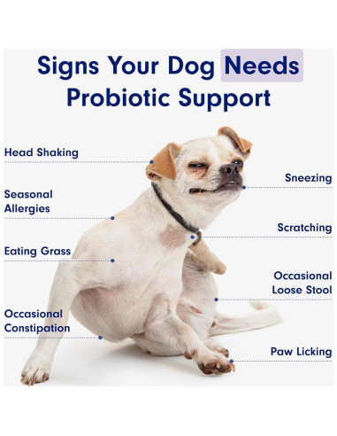 Probioticos PetLab Co. para Perros Sabor Salmón 30 Masticables