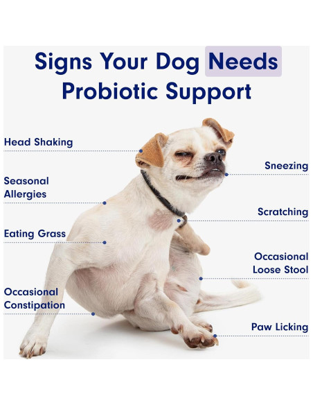 Probioticos PetLab Co. para Perros Sabor Salmón 30 Masticables