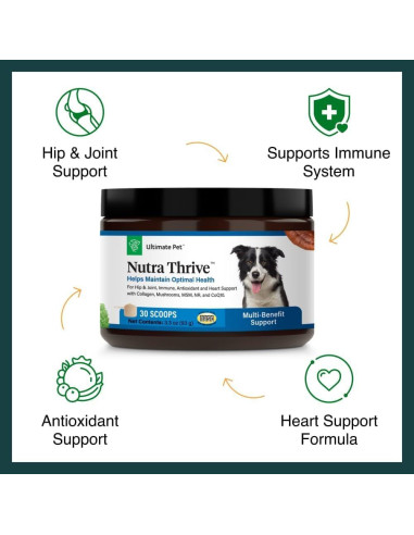 Suplemento Nutricional Nutra Thrive Canino 40-en-1 30 Cucharadas