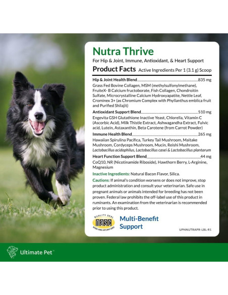 Suplemento Nutricional Nutra Thrive Canino 40-en-1 30 Cucharadas