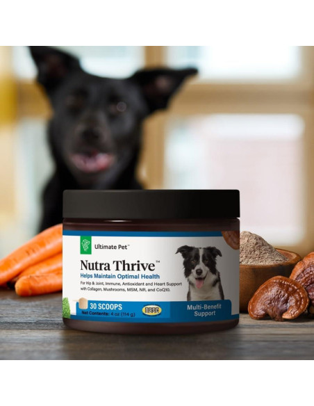 Suplemento Nutricional Nutra Thrive Canino 40-en-1 30 Cucharadas