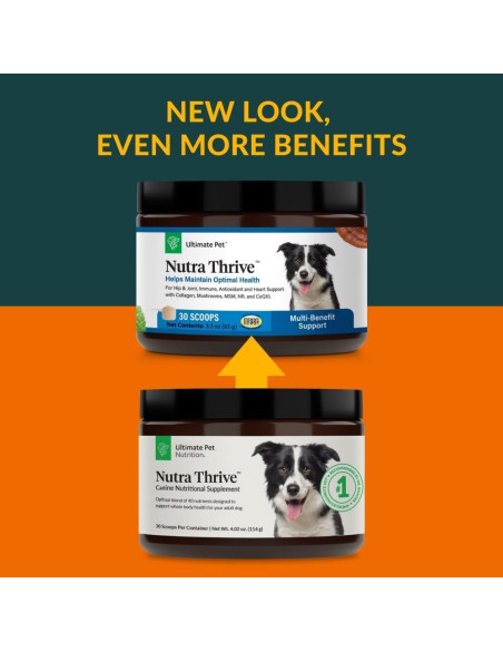 Suplemento Nutricional Nutra Thrive Canino 40-en-1 30 Cucharadas