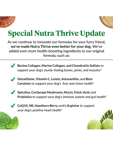 Suplemento Nutricional Nutra Thrive Canino 40-en-1 30 Cucharadas